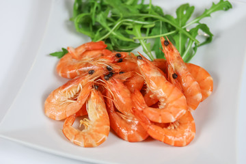 assiette de crevettes roses et salade roquette