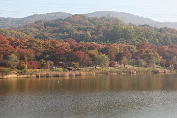 인천대공원입니다