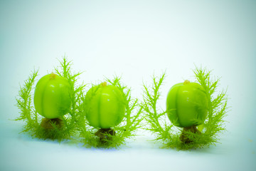 immature fruit with separate white background