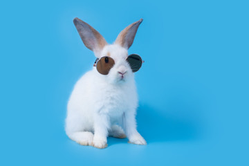 Little white baby rabbit with cute fur and black sunglasses. Standing on two feet because of naughtiness on a blue background.
