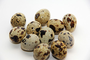 Obraz premium quail eggs isolated on white background