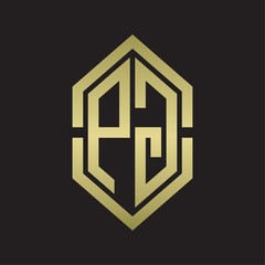 PG Logo monogram with hexagon shape and outline slice style with gold colors