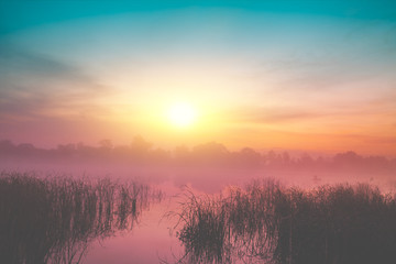 Magic sunrise over the lake. Misty early morning, rural landscape, wilderness, mystical feeling. Serenity lake in magical light