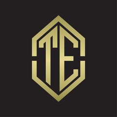TE Logo monogram with hexagon shape and outline slice style with gold colors