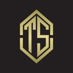 TS Logo monogram with hexagon shape and outline slice style with gold colors