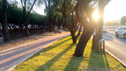 walk in the park and street