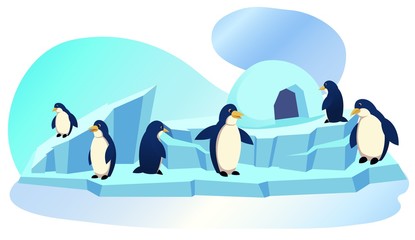 Group of Funny Penguins Stand on Ice Floe with Icehouse, Waterfowl Aquatic Flightless Birds, Highly Adapted for Life in Water, Dark and White Plumage, Animal Park, Zoo Cartoon Flat Vector Illustration