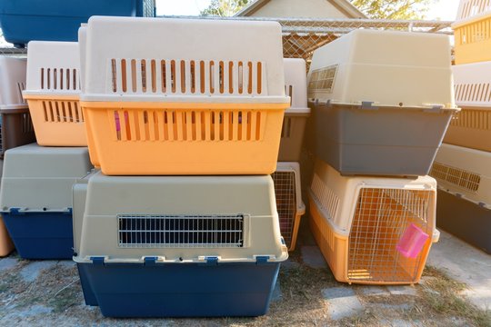 Dog crates carrying for dogs and cats to be loaded into a plane. Portable plastic animal cage travel box. Travel transportation, veterinary clinic and pet care concept.