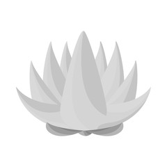 Vector design of flower and lotus logo. Collection of flower and leaf stock symbol for web.