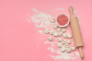 Raw fresh dumplings with rolling pin and meat on color background