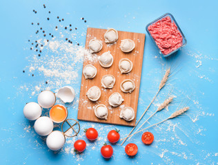 Raw fresh dumplings with eggs and tomatoes on color background
