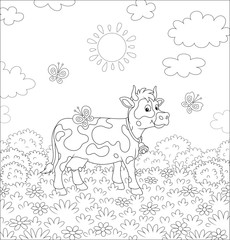 Fototapeta premium Spotted dairy cow walking on lush grass among flowers and flittering butterflies on a summer field on a sunny warm day, black and white vector cartoon illustration for a coloring book page