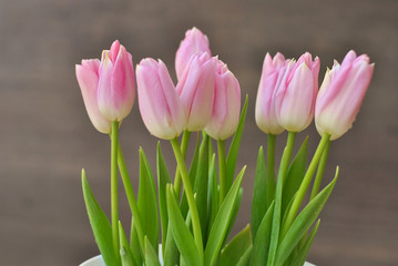 Beautiful light pink tulips bouquet with fresh green leaves in the white vase pot on the gray wooden background. Floral shop and holidays concept. Spring symbol picture