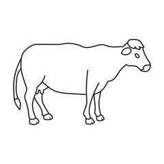 Cow of animal vector icon.Outline vector icon isolated on white background cow of animal.
