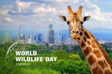 Fototapeten Welttag der Wildtiere. Text auf Giraffenhintergrund © byrdyak