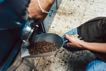 Woman taking coffee beans out of the storage