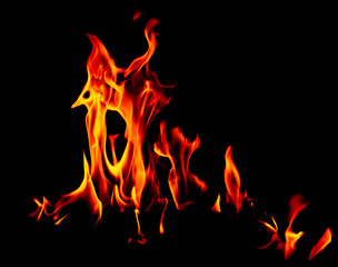 Flame of fire on a black background
