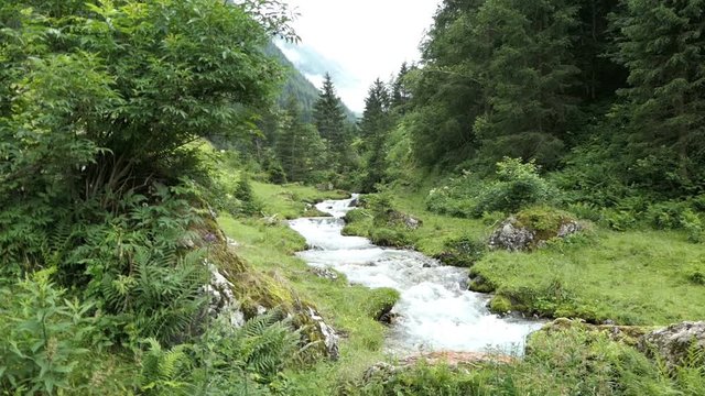 Alpine mountain stream in Schwarzachtal valley in Tirol Austria. Forest and meadow around.