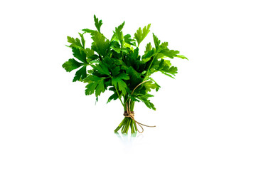 Fresh parsley sprig tied with twine, isolated.