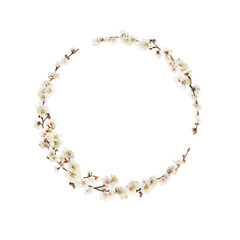 Frames with beautiful flowers, spring background