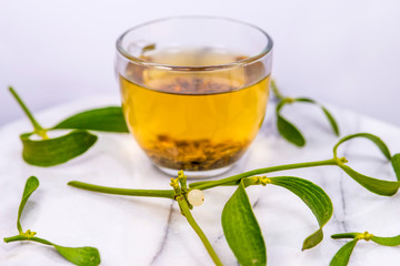 Mistletoe, tea with fresh mistletoe  branch