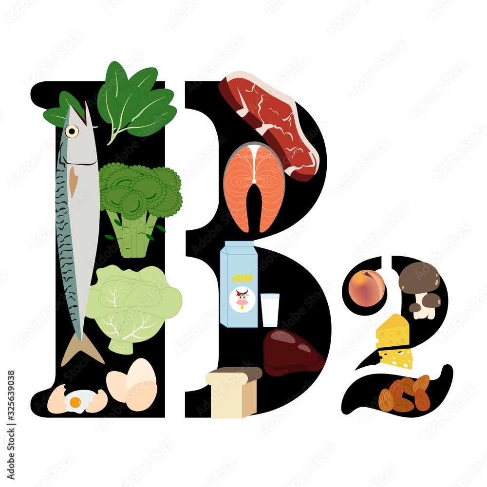 Wall mural vitamin b2 illustration