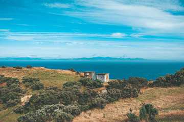Fototapeta premium Landscape of Makara Beach in Wellington, New Zealand 