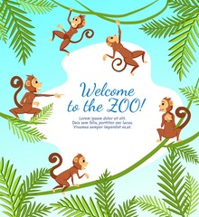 Welcome to Zoo Banner with Group of Funny Monkeys Playing on Tree, Jumping and Hanging on Lianas with Palm Leaves, Playful Curious Apes Invite to Animal Zoo Park. Cartoon Flat Vector Illustration