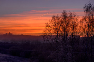 Fototapeta na wymiar Beautiful sunrise sky above the bushes