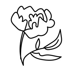 Vector single Peony. Botanical illustration doodle black line art on a white isolated background.Design for social media,web,cards,textiles, wrapping paper,packaging,prints,coloring.