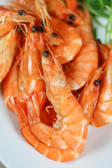 assiette de crevettes roses et salade roquette