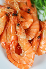 assiette de crevettes roses et salade roquette