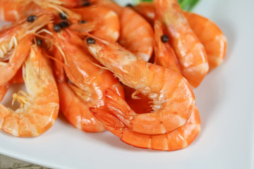 assiette de crevettes roses et salade roquette