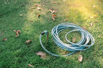 Water hose in green lawn.
