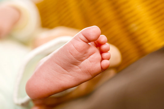 78 Best Doigt De Pied Images Stock Photos Vectors Adobe Stock