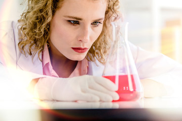 Scientists working in laboratory