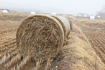시골풍경입니다