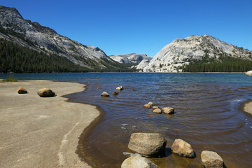 The coast of shallow lake