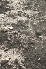 Wet grey soil texture, farm ground pattern or field background