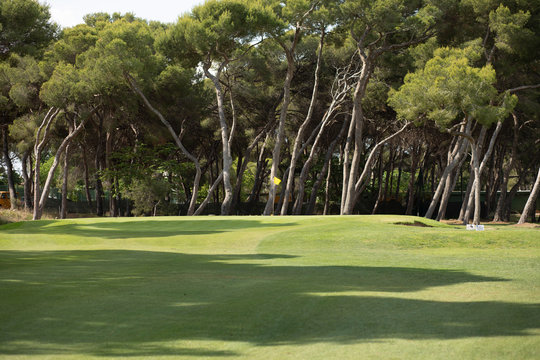 Golf landscape with trees and yellow flag