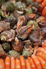 Boiled seashell and shrimp at buffet 