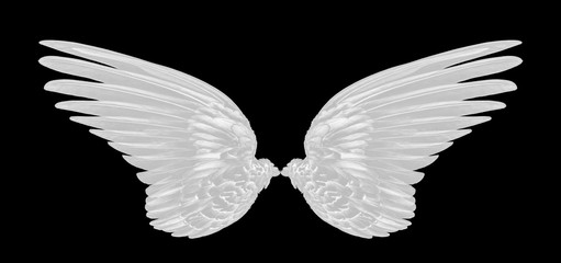 white wings on black background
