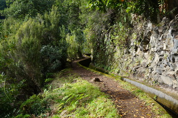 Levada da Ribeira da Janela (Porto Moniz)