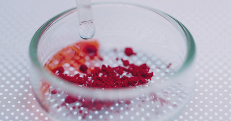  Petri Dishes with Bacteria, Tissue and Blood Samples. Medical Research Laboratory Curing Epidemic...
