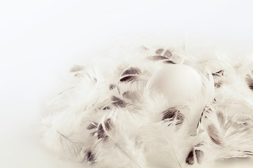 White natural eggs and white feathers. Monochrome, minimal. Happy easter concept.
