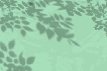 The shadow of a plant on a mint concrete wall. Black and white summer background for photo overlay or mockup. Vector