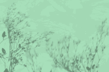 The shadow of a plant on a mint concrete wall. Black and white summer background for photo overlay or mockup. Vector