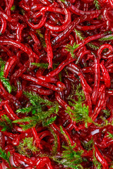 Red bloodworm, background. Bait for winter fishing. Background of bait for winter fishing.bunch of small red mosquito larvae bloodworm.Macro