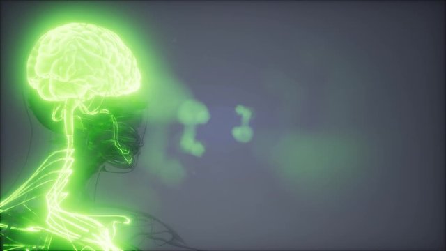 science anatomy scan of human brain glowing