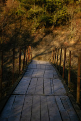 ancient bridge leading to the forest